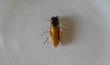 image 10293