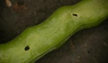 image 14214