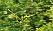 image 14759