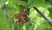 image 10632