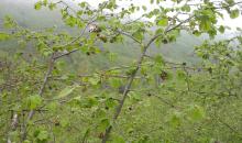 image 10634