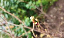 image 16552