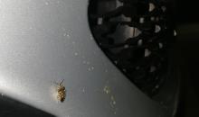 image 9982