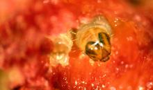 image 12199
