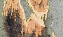 image 13625