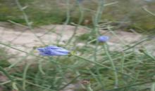 image 9885