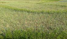 image 4987