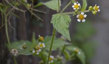 image 13165